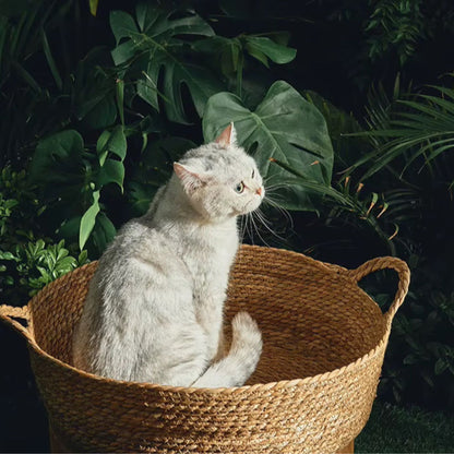 Zahara - Andalusisches Rattankörbchen